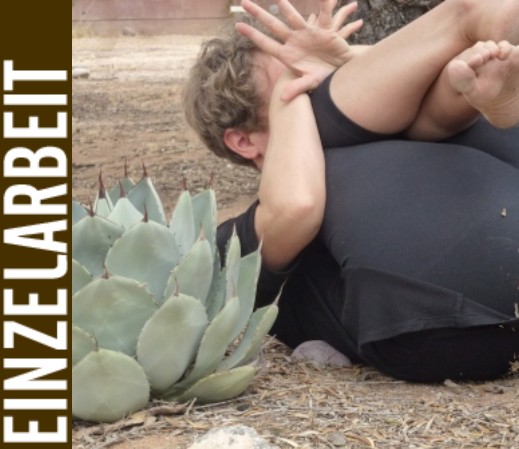 Einzelbild